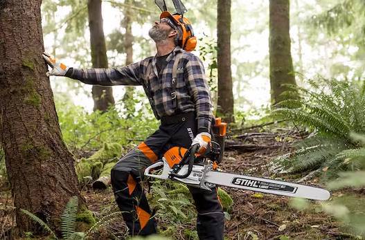 Forestry