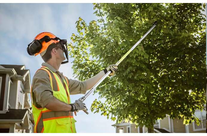 Pole Pruners