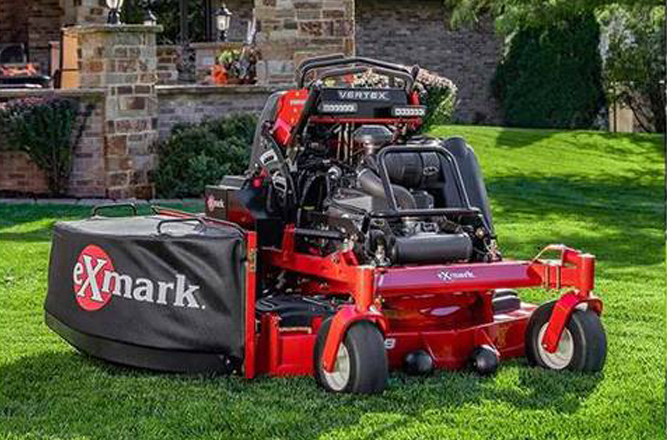 xmark-img